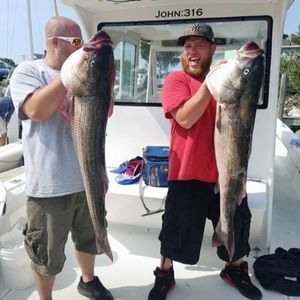 Meet your Posher, Craig